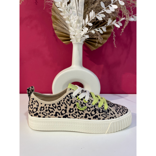 STONE QAGA ARMISTICE